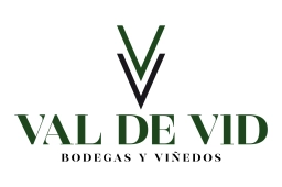 Logotipo de VAL DE VID