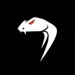 Logo di VIPER TACTICAL