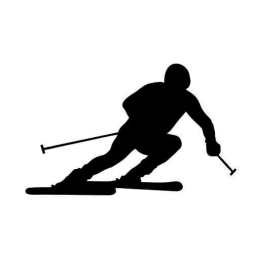 Logo of Larrizi
