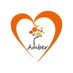 Logo of Love Amber x Baltic Amber Jewellery