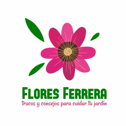 Flores Ferrera