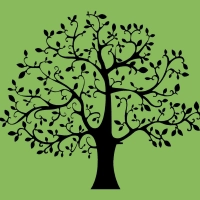 Herbolario de Canarias