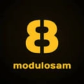 Modulosam