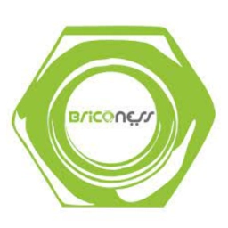 Logo di Briconess