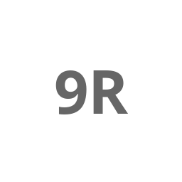 Logo of 99RDP.com