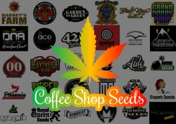 Logo of Coffeeshop Seeds