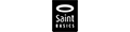 Logo of Saint Basics