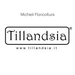 Logo di Tillandsia di Michieli Floricoltura