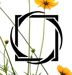 Logo of Eco-logic Books
