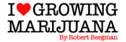 Logo of Ilgm.com