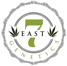 Logo of 7 East Genetics