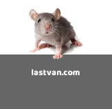 Logo van Lastvan.com
