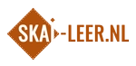 Logo van Skai-Leer