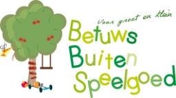 Logo van betuwsbuitenspeelgoed.nl