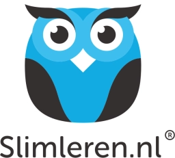 Logo van Slimleren.nl