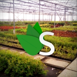 Logo van schramas.com