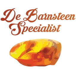 Logo van De Barnsteen Specialist