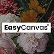 Logo van EasyCanvas
