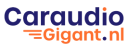 Logo van Caraudiogigant.nl