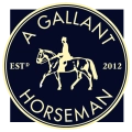 A GALLANT HORSEMAN