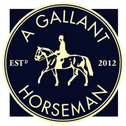 A GALLANT HORSEMAN