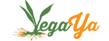 Logo von raw-living.de