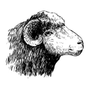 Logo von thecozysheep.de