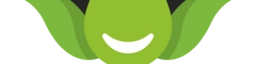 Logo von cbdsfinest.de