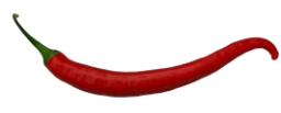Logo di Hot Pepper Style