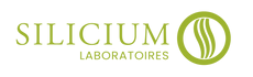 Logo von siliciumg5.com/it/