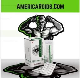 Logo of AmericaRoids.com