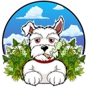 Logo von sky-z.de