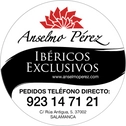 Logotipo de anselmoperez.com