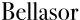 Logo of bellasor.com