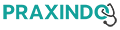 Logo von Praxindo GmbH