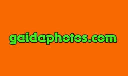 Logo von Gaidaphotos