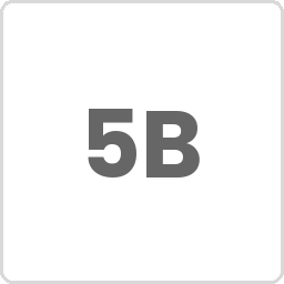 Logotipo de 5bseleccion