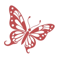 Cris&aacute;lida Studio