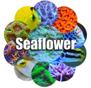Logo van Seaflower