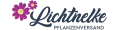 Logo von Lichtnelke Pflanzenversand | Staudengärtnerei Bargest