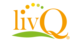 livq.de