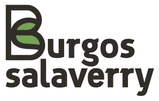 burgossalaverry.es/