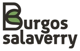 Logotipo de burgossalaverry.es/