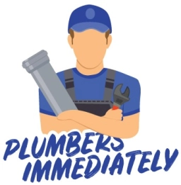 Logo of Plumbingimmediately
