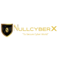 Nullcyberx