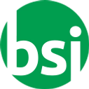 Logo of bsigadget.com