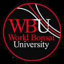 Worldbonsaiuniversity.com