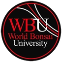 Logotipo de Worldbonsaiuniversity.com