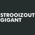 strooizoutgigant.nl