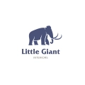 Little Giant Interiors